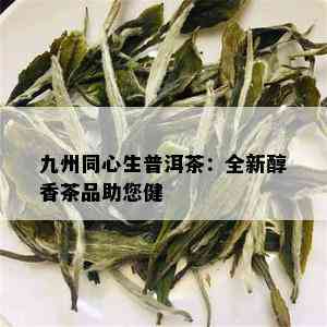 九州同心生普洱茶：全新醇香茶品助您健