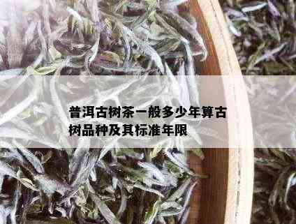 普洱古树茶一般多少年算古树品种及其标准年限