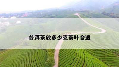 普洱茶放多少克茶叶合适