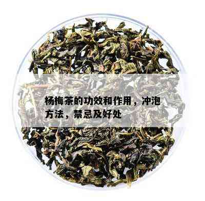 杨梅茶的功效和作用，冲泡方法，禁忌及好处