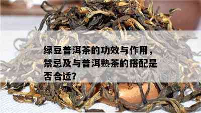 绿豆普洱茶的功效与作用，禁忌及与普洱熟茶的搭配是否合适？