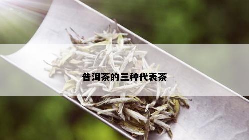 普洱茶的三种代表茶