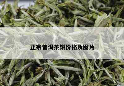 正宗普洱茶饼价格及图片