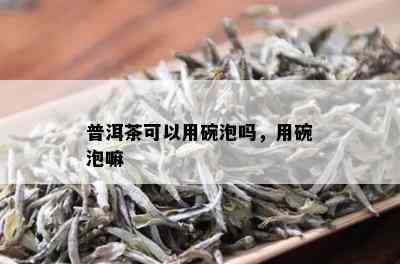 普洱茶可以用碗泡吗，用碗泡嘛