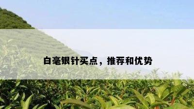 白毫银针买点，推荐和优势