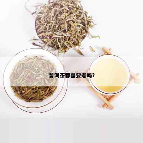 普洱茶都需要煮吗？