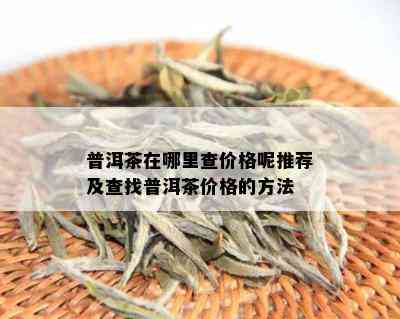 普洱茶在哪里查价格呢推荐及查找普洱茶价格的方法