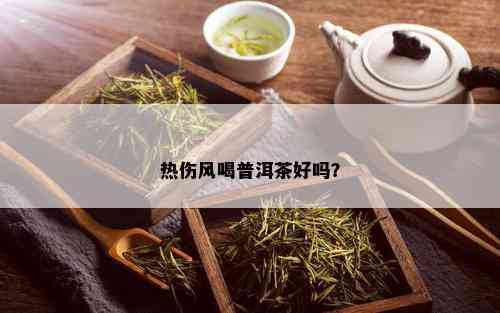 热伤风喝普洱茶好吗？