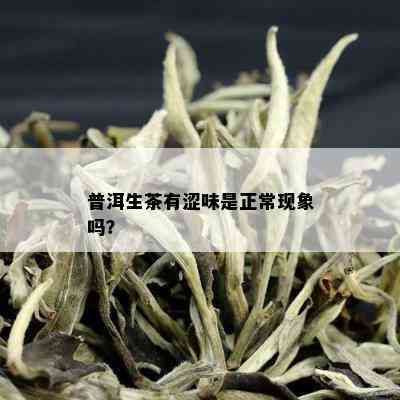 普洱生茶有涩味是正常现象吗？