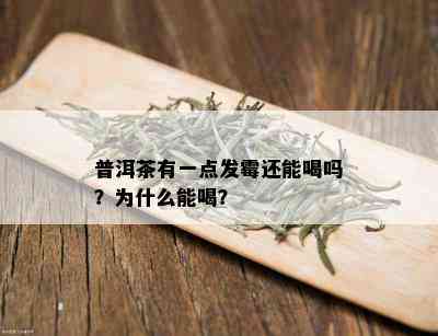 普洱茶有一点发霉还能喝吗？为什么能喝？