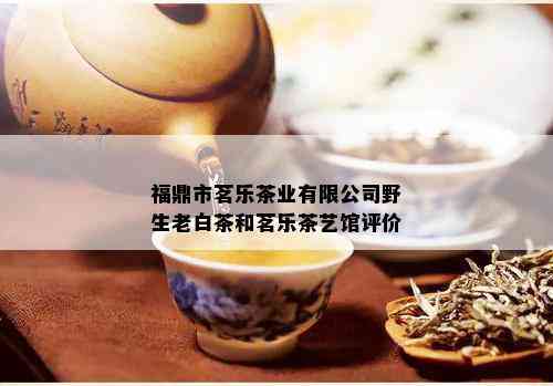 福鼎市茗乐茶业有限公司野生老白茶和茗乐茶艺馆评价