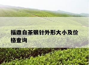 福鼎白茶银针外形大小及价格查询