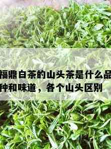 福鼎白茶的山头茶是什么品种和味道，各个山头区别