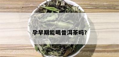 孕早期能喝普洱茶吗？