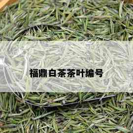 福鼎白茶茶叶编号