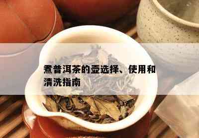 煮普洱茶的壶选择、使用和清洗指南