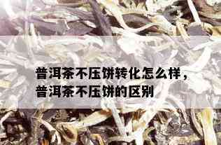 普洱茶不压饼转化怎么样，普洱茶不压饼的区别