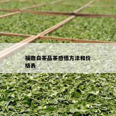 福鼎白茶品茶感悟方法和价格表