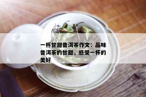 一杯甘甜普洱茶作文：品味普洱茶的甘甜，感受一杯的美好