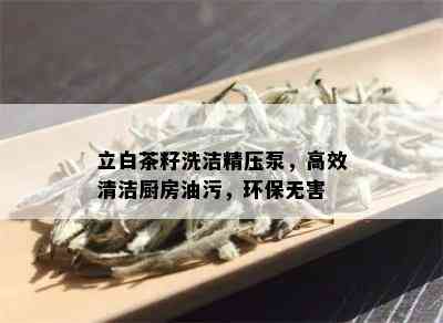 立白茶籽洗洁精压泵，高效清洁厨房油污，环保无害