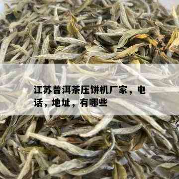 江苏普洱茶压饼机厂家，电话，地址，有哪些