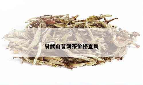 易武山普洱茶价格查询