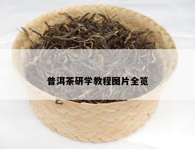 普洱茶研学教程图片全览