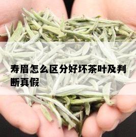 寿眉怎么区分好坏茶叶及判断真假