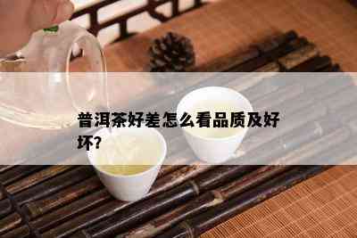 普洱茶好差怎么看品质及好坏？