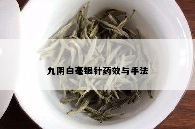 九阴白毫银针药效与手法