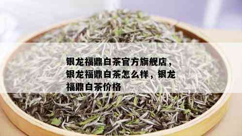 银龙福鼎白茶官方旗舰店，银龙福鼎白茶怎么样，银龙福鼎白茶价格