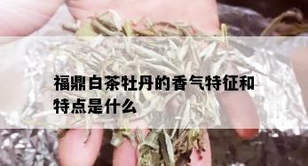 福鼎白茶牡丹的香气特征和特点是什么