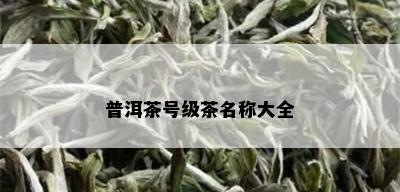 普洱茶号级茶名称大全