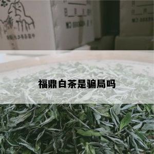 福鼎白茶是骗局吗