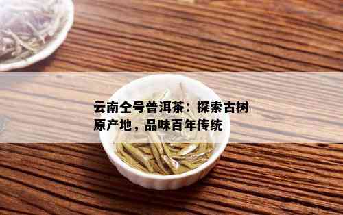 云南仝号普洱茶：探索古树原产地，品味百年传统