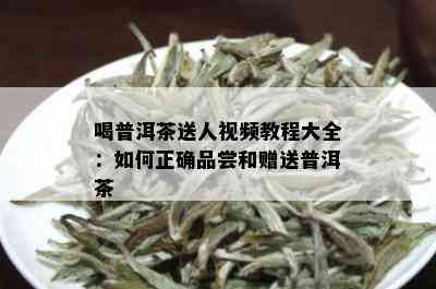 喝普洱茶送人视频教程大全：如何正确品尝和赠送普洱茶