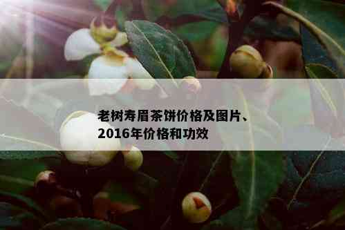 老树寿眉茶饼价格及图片、2016年价格和功效