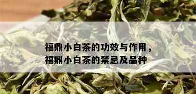 福鼎小白茶的功效与作用，福鼎小白茶的禁忌及品种