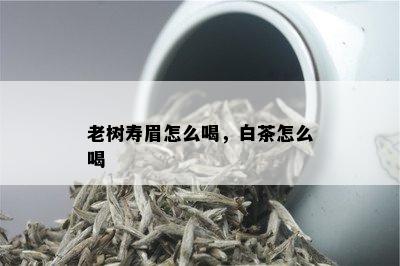 老树寿眉怎么喝，白茶怎么喝