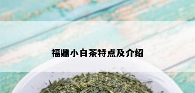 福鼎小白茶特点及介绍