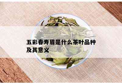 五彩春寿眉是什么茶叶品种及其意义