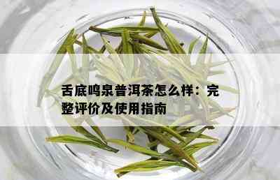 舌底鸣泉普洱茶怎么样：完整评价及使用指南