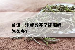 普洱一泡就散开了能喝吗，怎么办？