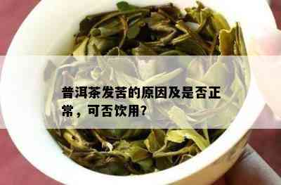 普洱茶发苦的原因及是否正常，可否饮用？