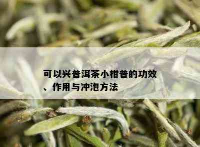 可以兴普洱茶小柑普的功效、作用与冲泡方法