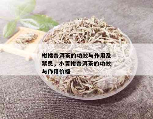 柑橘普洱茶的功效与作用及禁忌，小青柑普洱茶的功效与作用价格