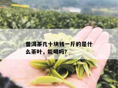 普洱茶几十块钱一斤的是什么茶叶，能喝吗？