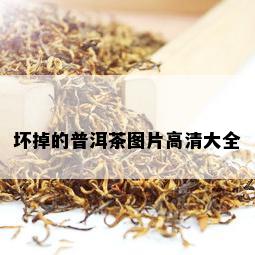 坏掉的普洱茶图片高清大全