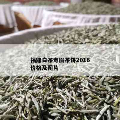 福鼎白茶寿眉茶饼2016价格及图片