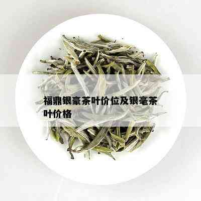 福鼎银豪茶叶价位及银毫茶叶价格